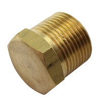 Brass Block Off Plug 3/4″ BSP Male Thread (064-12)
