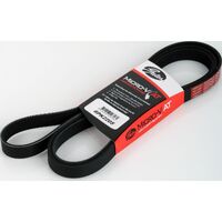 Gates 6PK2205 Drive Belt for Ford BA Models - Check App Below