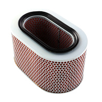 Ryco A1226 Oval Air Filter Same as Silverline AF527SL for Mitsubishi Models