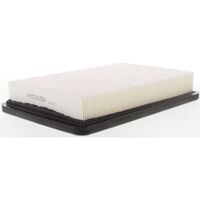 Ryco A1364 Air Filter Same as Wesfil WA929 for Hyundai Excel X3 1.5L SOHC DOHC