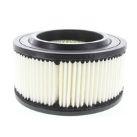 Ryco A1510 Air Filter Same as Wesfil WA5024 for Kia Pregio 2.7L Diesel