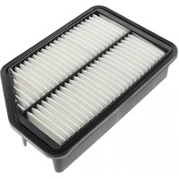 Ryco A1727 Air Filter Same as Wesfil WA5189 for Hyundai & Kia Models