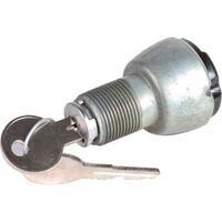 OEX IGNITION SWITCH 2 POSITION - ON/OFF 19mm DIA MOUNT WITH 2 KEYS 12/24V