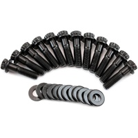 Aeroflow AF37-1221 Black Intake Valley Plate Bolt Set for GM Chev LS V8 x10