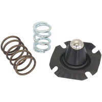 Aeroflow AF59-2079 Replacement Spring & Diaphragm for AF66-2059 Fuel Regulator