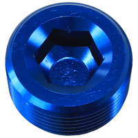 AEROFLOW AF932-01 NPT HEX PLIG 1/16" BLUE