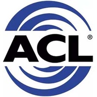 ACL AY-1 YELLOW FLEXIGAUGE PRECISION PLASTIC STRIP - ENGINE BEARING CLEARANCE x1