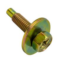 Champion CBP50 Anodised Panel Set Screws & Washers 6mm x 18mm Pack of 50