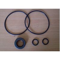 POWER STEERING PUMP KIT FOR HOLDEN VN VP VR V6 1988 - 1995 INC VQ STATESMAN