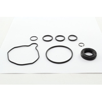 Power Steering Pump Kit for Holden VZ VE Commodore 3.6L V6 & 6.0L V8 - PSPKVZVE