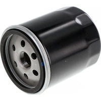 Ryco RMZ112 Black Oil Filter for Buell & Harley Davidson Models