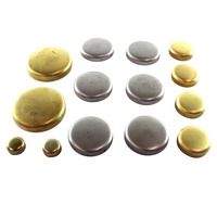 Welch Plug Kit WPEK482 for Holden Commodore VN VP VR - V6 3.8L Buick Engine