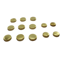 Brass Welch Plug Kit for Nissan 180SX S13 4cyl CA18 CA18DE Turbo 1988-1991
