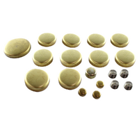 Premier WPEK969 Welch Plug Kit for Ford 5.0L Windsor V8 F Series Falcon Fairlane