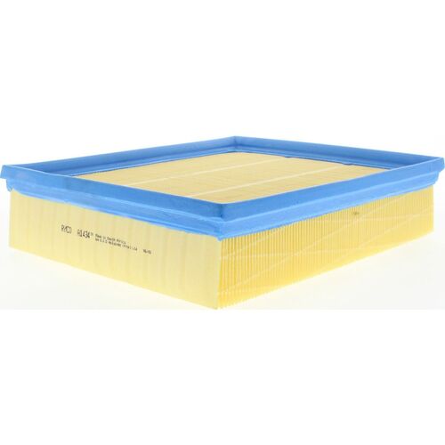 Ryco A1434 Air Filter Same as Wesfil WA970 for Audi BMW & Volkswagen Models