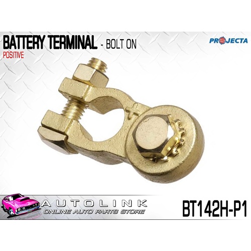 PROJECTA BRASS POSITIVE HEAVY DUTY BATTERY TERMINAL BOLT TYPE BT142H-P1 x1