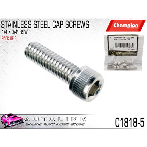 CHAMPION C1818-5 STAINLESS ALLEN KEY CAP HEX HEAD SCREWS 1/4" x 3/4" BSW x6