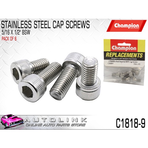 CHAMPION C1818-9 STAINLESS ALLEN KEY CAP HEX HEAD SCREWS 5/16" x 1/2" BSW x6