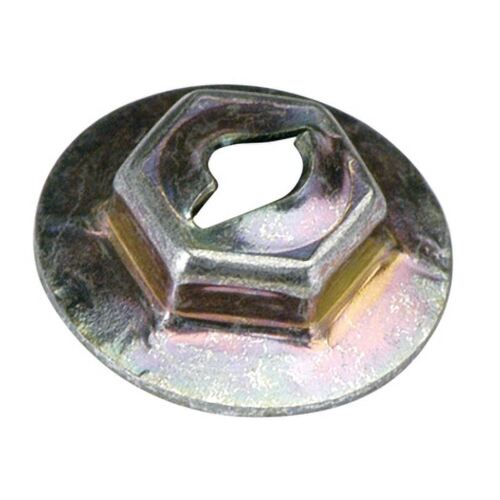 Champion Fasteners CBP78 Panel Trim Self Cutting Nuts 1/8-inch Pack of 50