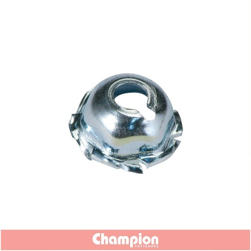 Champion Fasteners CBP79 Panel Trim Self Cutting Nuts 3/16-inch Pack of 50