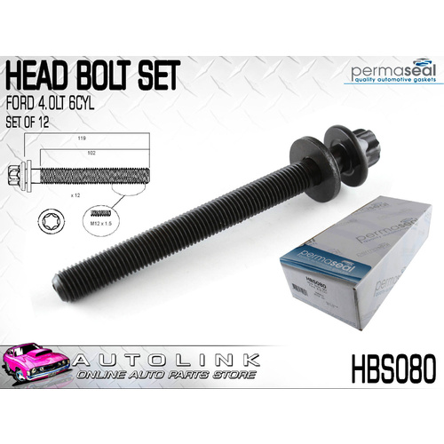 Head Bolt Set for Ford Falcon BA BF FG XR6 XR6T Turbo 6Cyl Barra 4.0L 2002-On