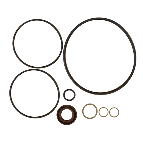 SRA Power Steering Pump Kit Saginaw for Ford XE AU 6Cyl Models
