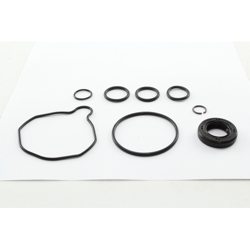 Power Steering Pump Kit for Holden VZ VE Commodore 3.6L V6 & 6.0L V8 - PSPKVZVE