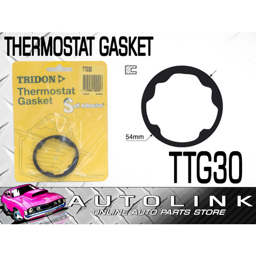 THERMOSTAT GASKET FOR DAIHATSU TERIOS 1.3lt 4CYL 1997 - 2000 