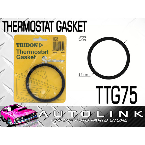 THERMOSTAT GASKET FOR BMW 540i 730i 740i 750i 840Ci 850i - V8 & V12 1988-93
