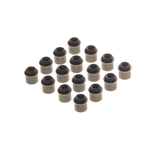 Permaseal VSS0344-16 Valve Stem Seal Set for Holden & Isuzu Diesel 4JJ1