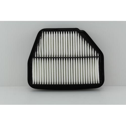 WESFIL AIR FILTER FOR HOLDEN CAPTIVA CG 2.0L 2.4L 3.2L 4CYL & V6 10/2006 - 2011